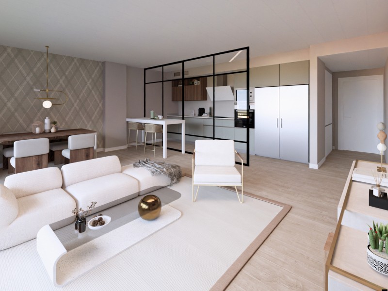 Infografía orientativa a concretar en el desarrollo del proyecto. Opción de reforma